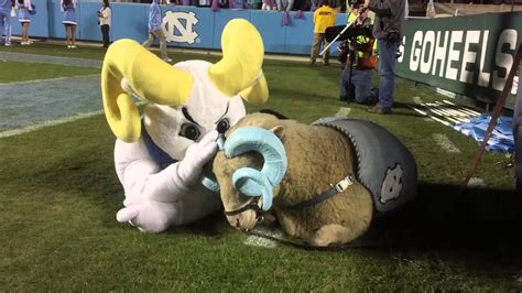 Tar heels mascot rameses